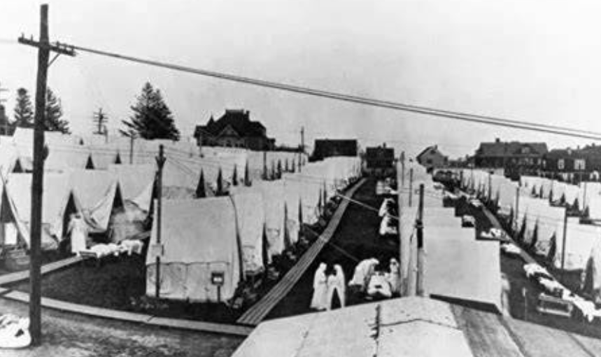 The Comprehensive Guide to the Impact of Colonialism: Biological, Economic, and Social Transformations